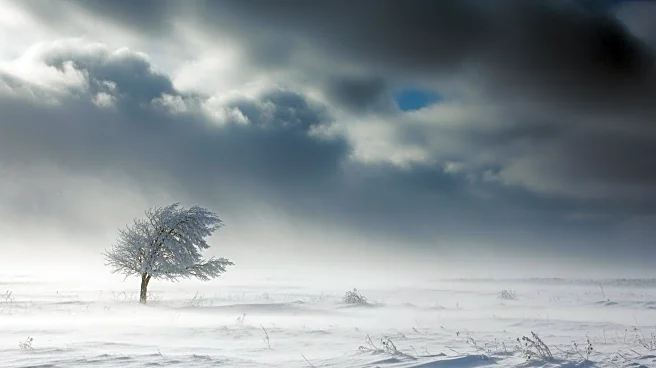 Blizzard and Severe Weather Outbreak Impacting Midwest and South