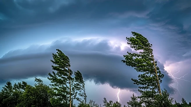 High Wind Warning and Tornado Watch Issued for Cincinnati Area