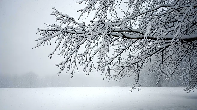 Blizzard Conditions Persist in Southern Minnesota with Heavy Snowfall