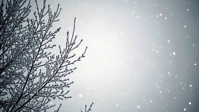 Winter Weather Advisories Issued for Illinois