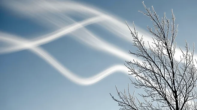 Freeze Warning Issued for North Texas Amid High Winds