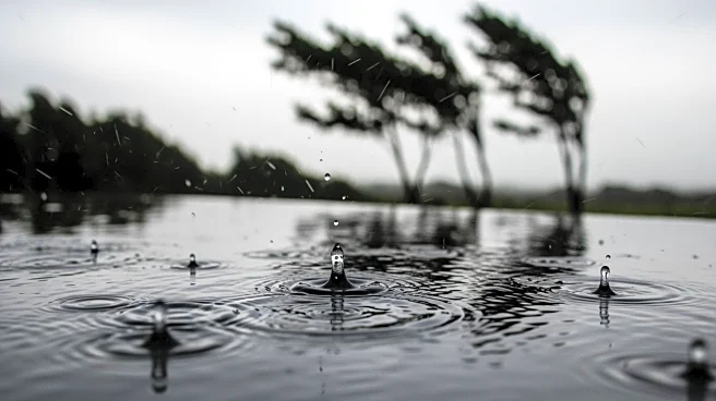 Weather Update for Kenosha: Rain and Wind Expected