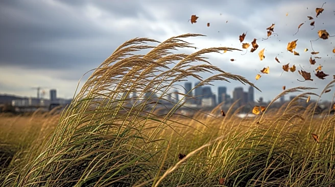 Wind Advisory in Effect for Detroit with Gusts Up to 50 mph