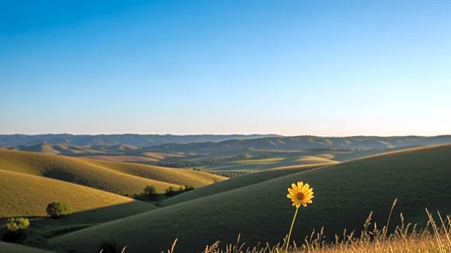 California Weather Update: Clear Skies and Mild Temperatures Expected