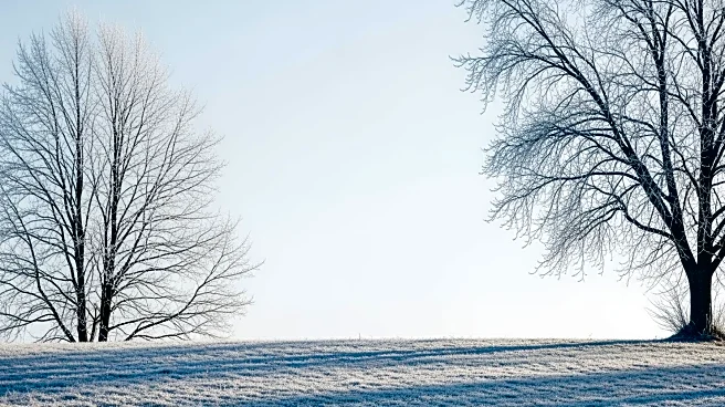 Wintry Temperatures Blanket North Texas Following Cold Front