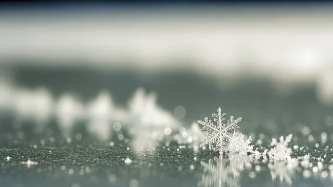 Chicago Seasonal Snowfall: 2025-26 Compared to Previous Years