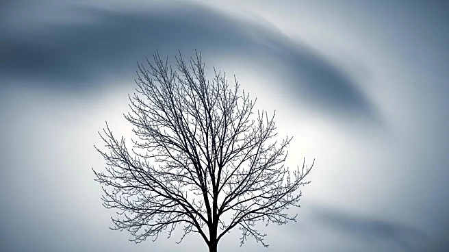 Wind and Freeze Warnings in Effect for New Iberia, Louisiana