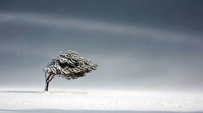 Minnesota Experiences Breezy Conditions and Blowing Snow