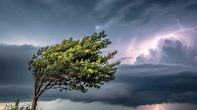 Philadelphia Faces Severe Thunderstorm and Wind Advisory