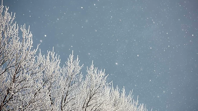 Light Snow and Below-Zero Wind Chills Expected in Chicago