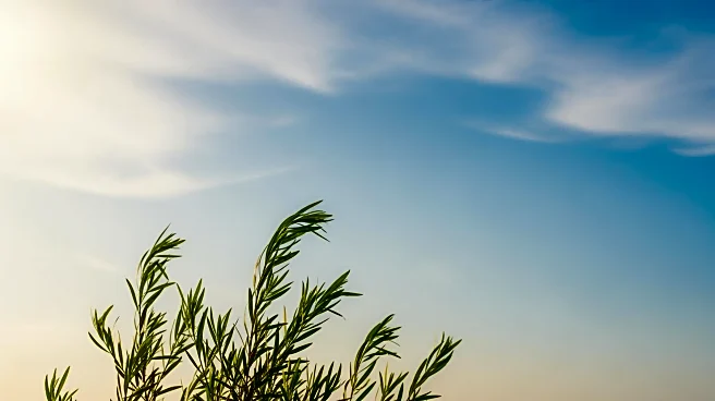 Yonkers Weather: Clear Skies and Mild Temperatures Expected