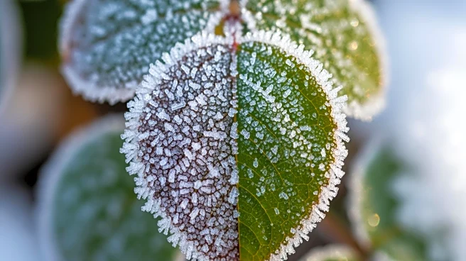 Western Pennsylvania Faces Winter Weather Whiplash
