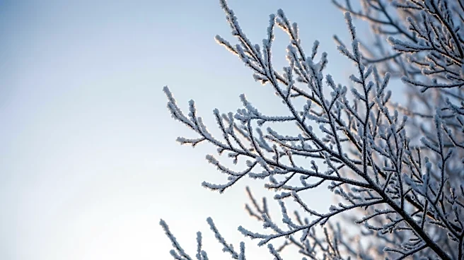 Bitter Cold Snap Expected in Minneapolis