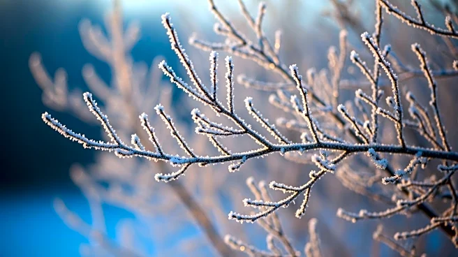 Freezing Temperatures in North Texas with Upcoming Warmup