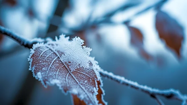 Chilly and Breezy Conditions in Detroit with Light Snow Showers