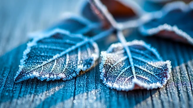 Chilly Weather Expected in Philadelphia Region on Wednesday