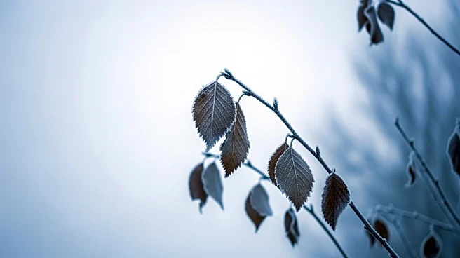 Chilly and Breezy Conditions in Detroit Today