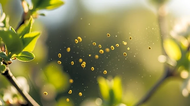 Peachtree City Faces Intense Pollen Bursts Amid Spring