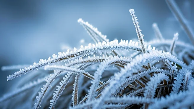 Lubbock Faces Frostbite Risk Amid Cold Snap