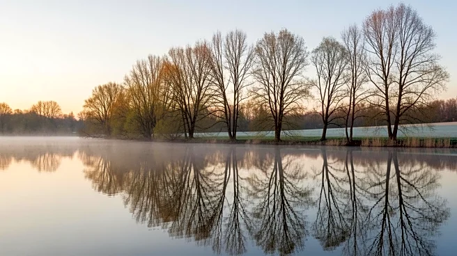 Cool Thursday in Maryland Ahead of Spring Arrival