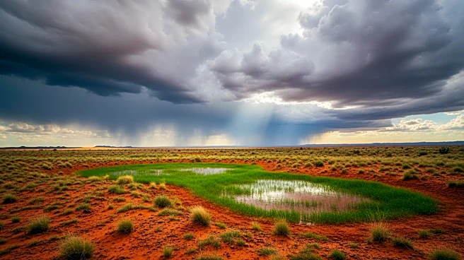 Alice Springs Experiences Rare Green Transformation Amid Heavy Rainfall