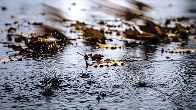 Portland Prepares for Intense Storm with Heavy Rain and Winds