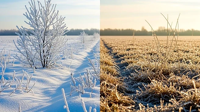 Montana Faces Winter Whiplash with Snowfall and High Temperature Records