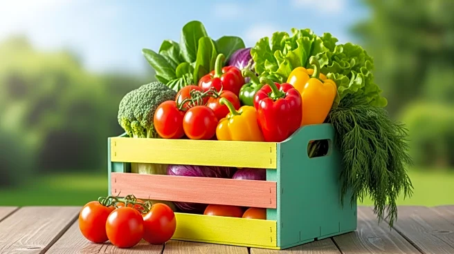 Sacramento Farmers Market Offers Fresh Produce Amid Pleasant Weather