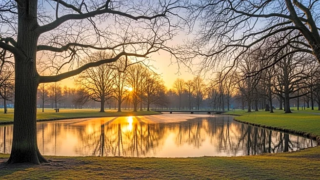 Washington D.C. Weather: Milder Conditions with Warmer Weekend Ahead