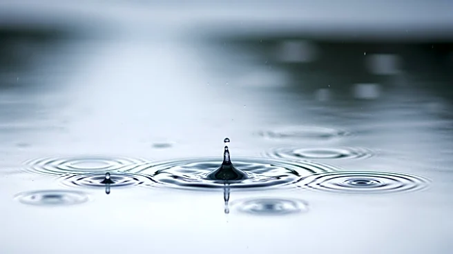 Rain Showers Expected Friday in Philadelphia Region