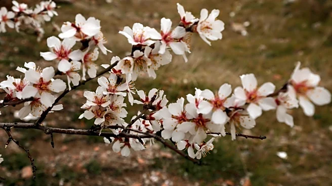 Goodbye Winter! Spring Arrives—Here’s Why Today Matters
