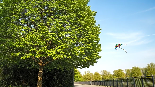 Pittsburgh Enjoys Warm Weather and Weekend Activities