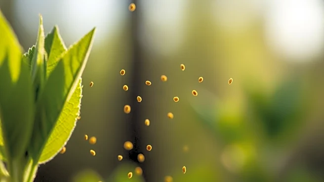 Pollen Counts Rise Across the U.S. as Allergy Season Intensifies