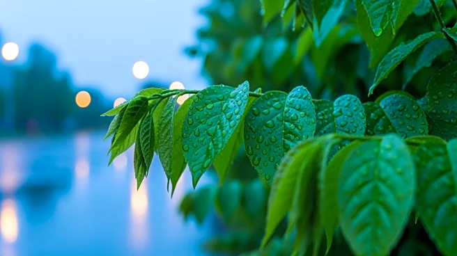 Philadelphia Welcomes Spring with 60s Temperatures and Rainy Night