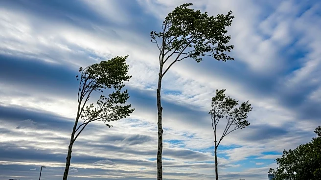 Gusty Winds Expected in Pittsburgh Area