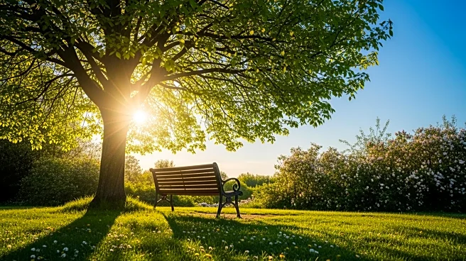 Warm and Sunny Weather in Cartersville, GA