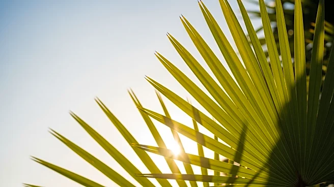 Warm, Sunny Weather Marks the Start of Spring in South Florida
