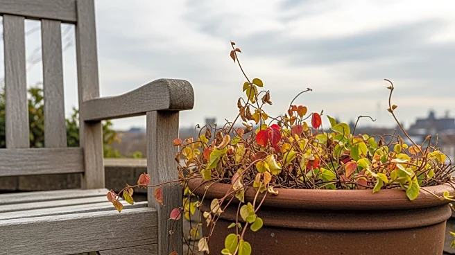 Chicago's Gift Plants: Challenges in Outdoor Gardening