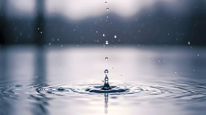 Lewiston Weather Update: Rain Expected Throughout the Day