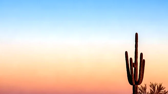 Phoenix Weather Update: Clear Skies and Mild Temperatures Expected