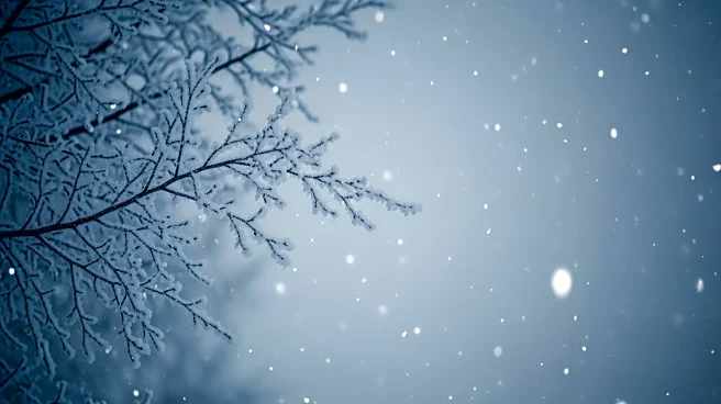 Winter Storm Warning Issued for New York City Area