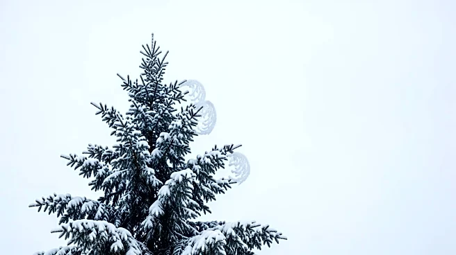 Green Bay Faces Potential Snowfall and Cold Temperatures