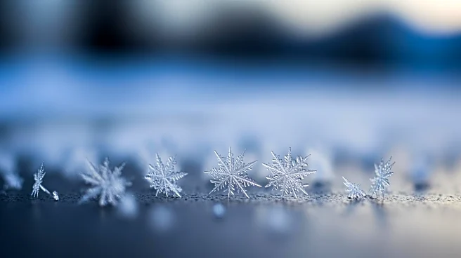 Snowstorm Expected to Impact New York Area