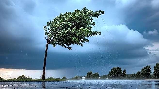 Lincoln Faces Heavy Rain and Wind Advisory