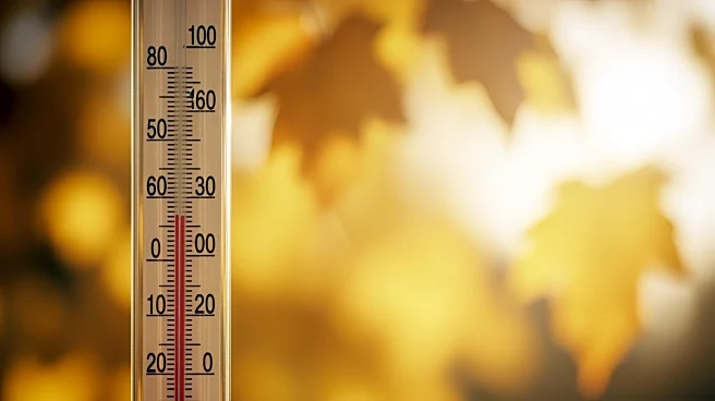 Weather Update: Bowie Experiences Unseasonably Warm Temperatures