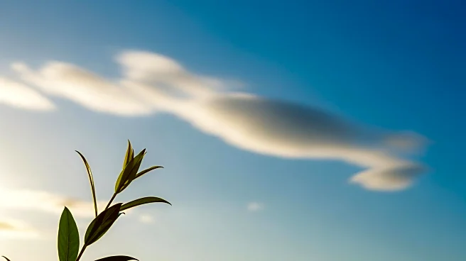 Montpelier Weather: Clear Skies and Mild Temperatures Expected