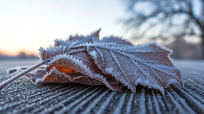 Cold Snap Expected to Hit Atlanta: Prepare for Unseasonably Low Temperatures