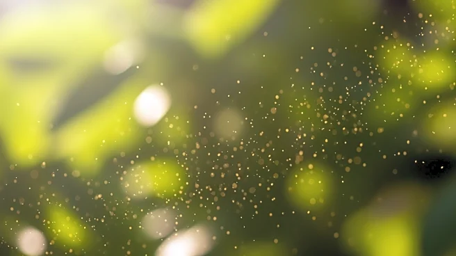 High Pollen Count Expected in Atlanta