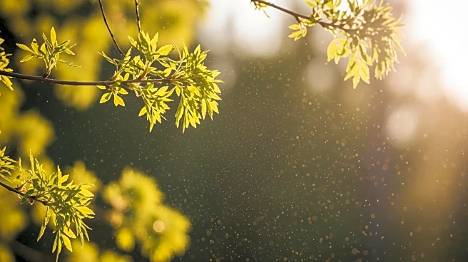 Tree Pollen Alert Issued for Northeast Region