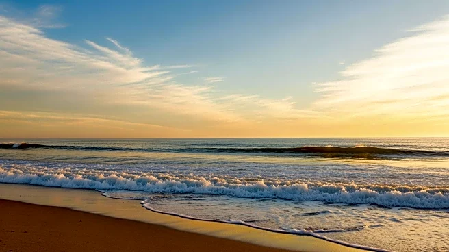 Los Angeles Weather Forecast: Mild Conditions Expected